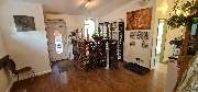 Tierarztpraxis Dr.Niels Mensing - GALLERY