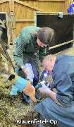 Tierarztpraxis für Groß- & Nutztiere Rainer Matzke - GALLERY