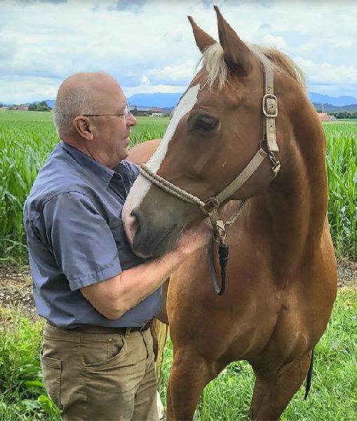 Tierarztpraxis für Groß- & Nutztiere Rainer Matzke …