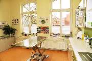 Tierarztpraxis Hiltrud Richter - GALLERY