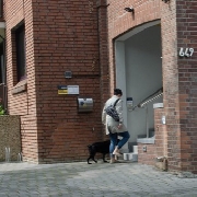 Außenbereich mit eigenen Parkplätzen Tierarztpraxis Huppert Krefeld