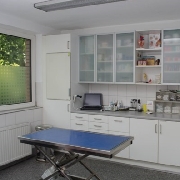 Behandlung 1 Tierarztpraxis Huppert