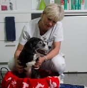 Magnetfeldtherapie Tierarztpraxis Huppert Krefeld