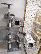 Tierarztpraxis Katrin Pompetzki - GALLERY