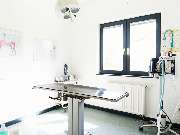 Tierarztpraxis Korbach - GALLERY
