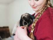 Tierarztpraxis Korbach - GALLERY