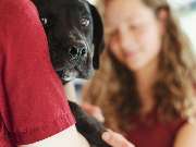 Tierarztpraxis Korbach - GALLERY