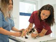 Tierarztpraxis Oppenheim - GALLERY