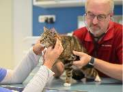 Tierarztpraxis Oppenheim - GALLERY