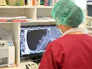 Tierarztpraxis Oppenheim - GALLERY