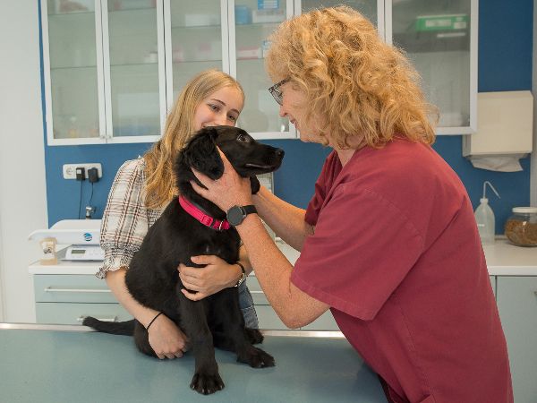 Tierarztpraxis Oppenheim - GALLERY