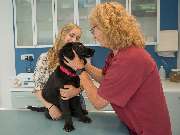 Tierarztpraxis Oppenheim - GALLERY