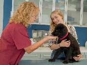 Tierarztpraxis Oppenheim - GALLERY