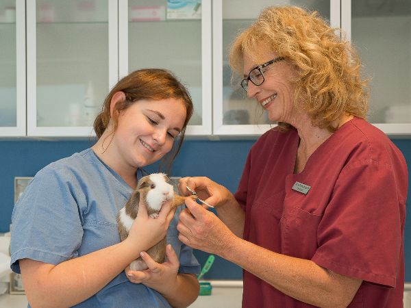 Tierarztpraxis Oppenheim - GALLERY