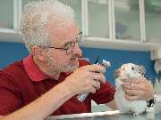 Tierarztpraxis Oppenheim - GALLERY