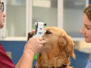 Tierarztpraxis Oppenheim - GALLERY