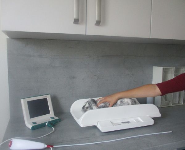 Tierarztpraxis Sieber - 5