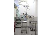 Tierarztpraxis Steinel Jonas Dr. - GALLERY