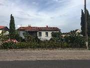 Tierarztpraxis Sven Sturmat - GALLERY