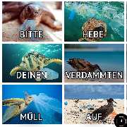 Tierarztpraxis Ullmann - GALLERY