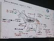 Tierarztpraxis Ullmann - GALLERY