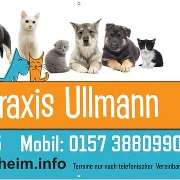 Tierarztpraxis Ullmann - GALLERY