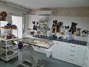 Tierarztpraxis Ullmann - GALLERY