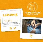 Tierarztpraxis Westhoff