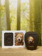 Tierbestatter für Dortmund - 4