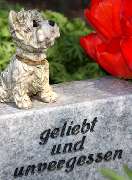 Tierbestatter für Dortmund - 5