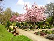 Tierbestatter für Dortmund - 8