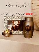 Tierbestattung-Fischer - GALLERY