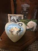 Tierbestattung-Fischer - GALLERY