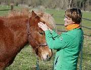 TierHeilpraktik Hoffmann Gabriele Hoffmann Tierheilpraktikerin für Hunde und Pferde seit 2010 - GALLERY