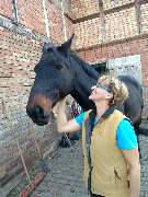 TierHeilpraktik Hoffmann Gabriele Hoffmann Tierheilpraktikerin für Hunde und Pferde seit 2010 - GALLERY