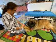 Tierheilpraxis am Lemberg Betty Wenzler - 2