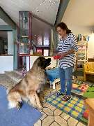 Tierheilpraxis am Lemberg Betty Wenzler - 3