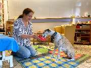 Tierheilpraxis am Lemberg Betty Wenzler - 4