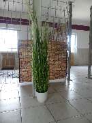 Tierhotel Leinfelder - GALLERY