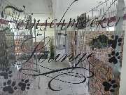 Tierhotel Leinfelder - GALLERY
