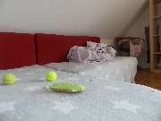 Tierhotel Leinfelder - GALLERY