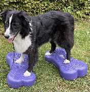 Tierisch natürlich - GALLERY