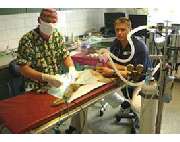 Tierklinik Dr. Bodo Kröll & Kollegen - GALLERY