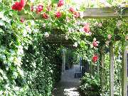 Tierklinik Fuhlsbüttel - GALLERY