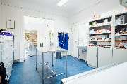 Tierklinik Fuhlsbüttel - GALLERY