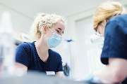 Tierklinik Fuhlsbüttel - GALLERY