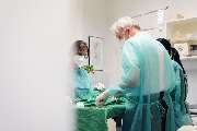Tierklinik Fuhlsbüttel - GALLERY