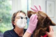 Tierklinik Fuhlsbüttel - GALLERY