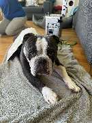 Tiernaturheilpraxis Andrea Peters - GALLERY