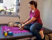 TierPhysio bewegt - 1